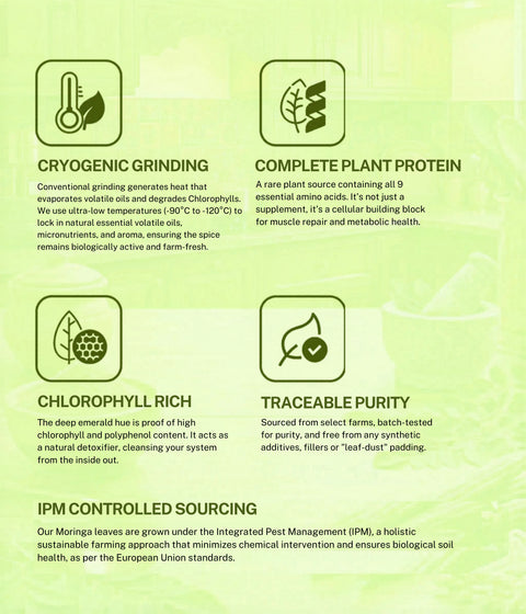 Moringa Powder - Cryogenically Ground